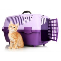 TRANSPORTE E VIAGEM